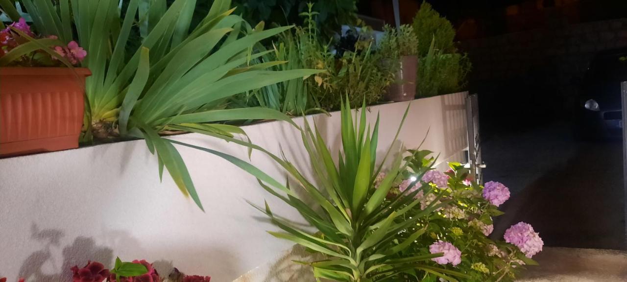 Studio Apartments Jupo Ulcinj Kültér fotó